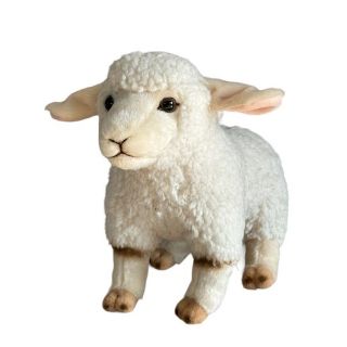 Obrázek z Ovce plyš 23cm 